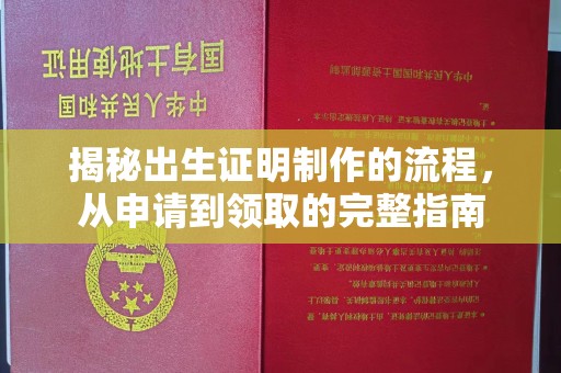 重庆揭秘出生证明制作的流程，从申请到领取的完整指南